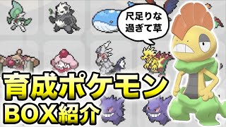 歴代育成ポケモンボックス紹介 ポケモン剣盾 Youtube
