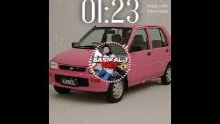DJ BASIKAL TUA REMIX(2025)