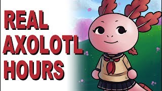 REAL AXOLOTL HOURS by Brandon Turner 345,569 views 5 years ago 18 seconds