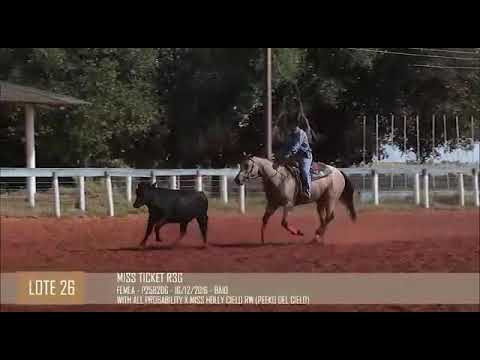 LOTE 26 - MISS TICKET R3G - 1° LEILÃO SELO DE RAÇA