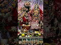 radhe radhe barsane wali radhe #radhekrishnaa #love #trending #youtubeshorts #song #viralsong