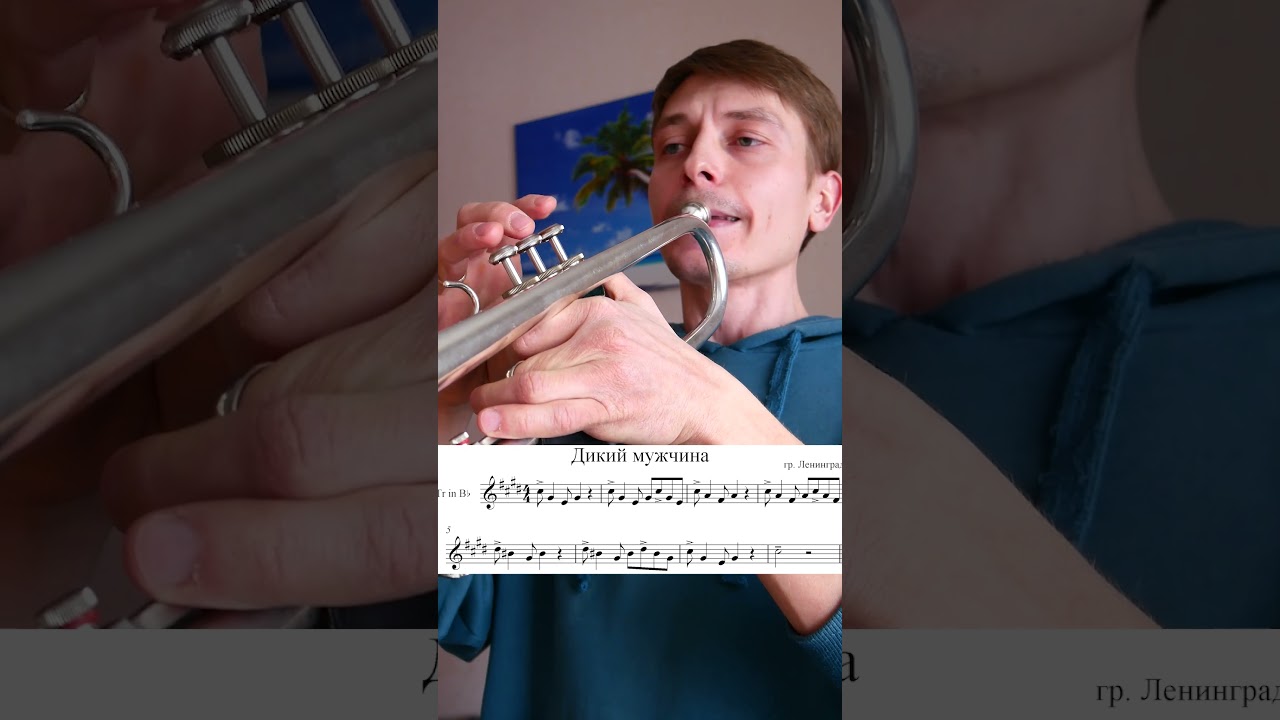 Дикий мужчина на трубе trumpet cover Wild man (гр. Ленинград) 