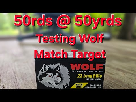 Rimfire Ammo Testing Pt 3: Wolf Match Target 50rds at 50yrds