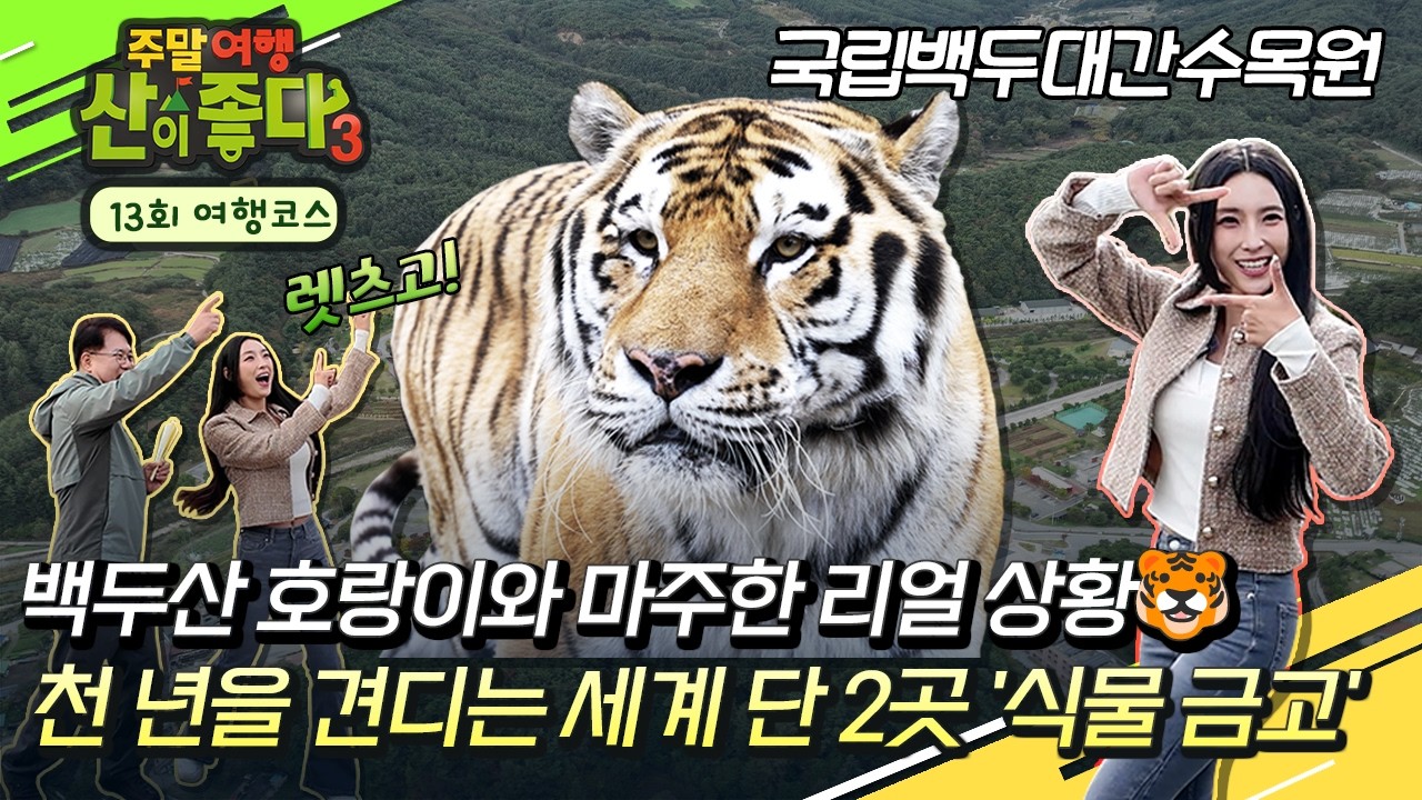 [13회 여행코스] 🐯CG말고 진짜 호랑이🐯부터 '종자 노아의 방주'까지! 백두대간수목원의 모든 것 (feat. 장하온)
