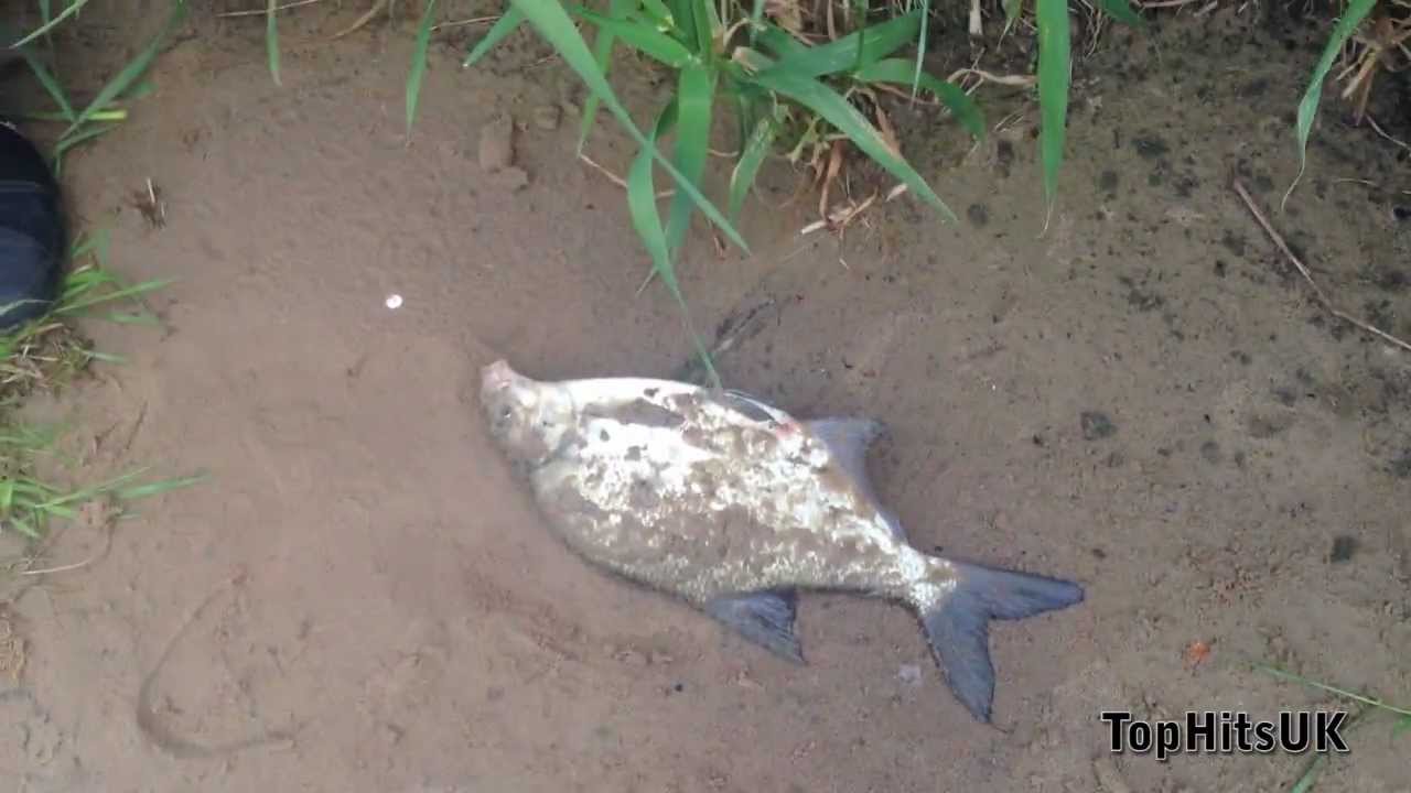 Karsiu zvejyba nemune rudeni