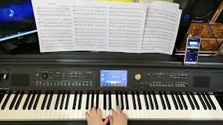 Pur ti miro - Claudio Monteverdi (Lincoronazione di Poppea) flute and piano duet
