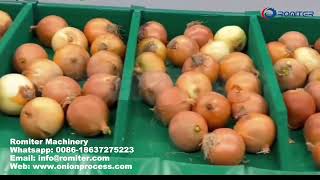 Automatic Onion Weight Grading Machine-How to Grade Onion