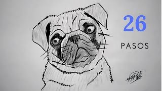 Como Dibujar Un Perro Pug En 25 Pasos How To Draw A Pug Dog In 25 Steps Youtube