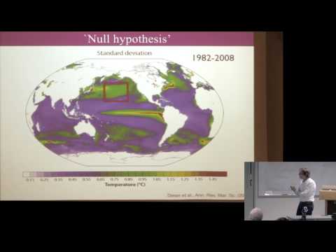 CAM Colloquium - Hendrik Dijkstra: Climate as a (stochastic) dynamical system