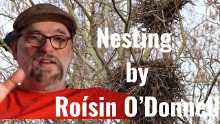 Nesting by Roisín O'Donnell - Review (I've Read Something #120)