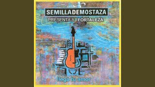Video thumbnail of "Semilla de Mostaza - Samba para Saulo"