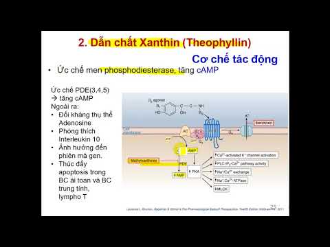 Dược Lý 1:Dược Lý Hô Hấp part 2