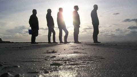 Shell Island