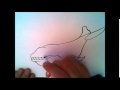 как нарисовать кита