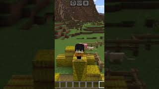 Minecraft poii poii hee kopi op