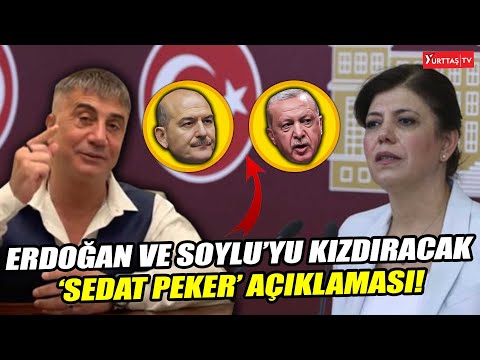 HDP'den Erdoğan ve Soylu'yu kızdıracak Sedat Peker açıklaması! \