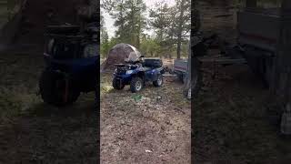семейный выезд