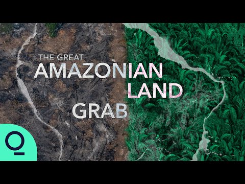 The Great Amazonian Land Grab