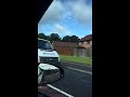 Scottish Police Chasing Cows