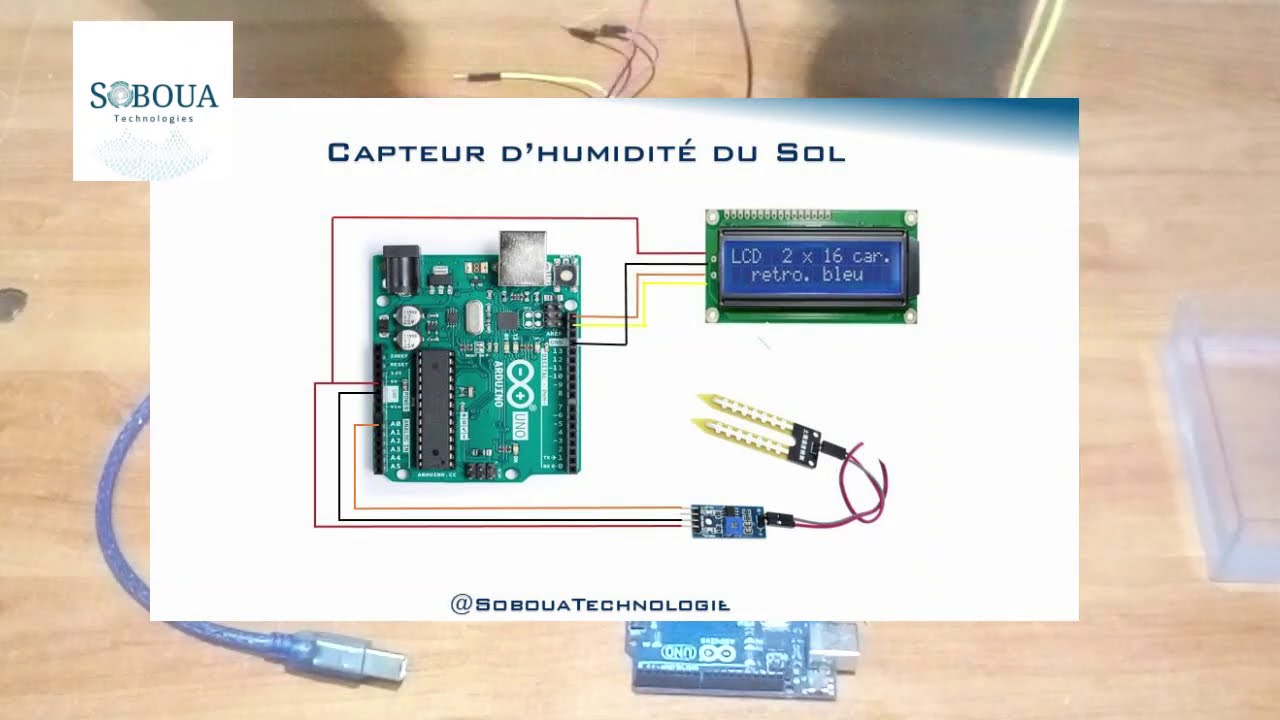 Capteur D'humidité Du Sol