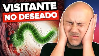 TRATAMIENTO EFECTIVO CONTRA EL Helicobacter Pylori: LO QUE NO TE HAN CONTADO | Dr. Carlos Jaramillo