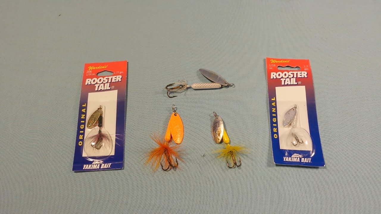 What type of fish is attracted by the rooster tail bait? - Quora