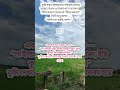 যখন নিজেকেও হারিয়ে ফেলো, তখন আল্লাহ তোমার পাশে 💭 #আবেগময়ভিডিও #ইসলামিকরিলস #QuranAyat #দোয়া
