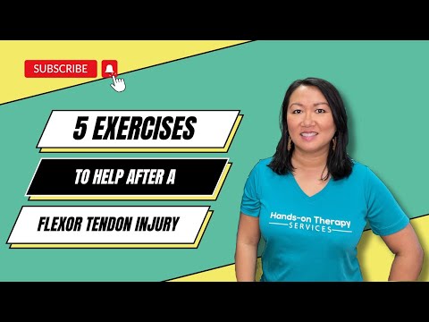 Dog Flexor Tendon Injury Treatment