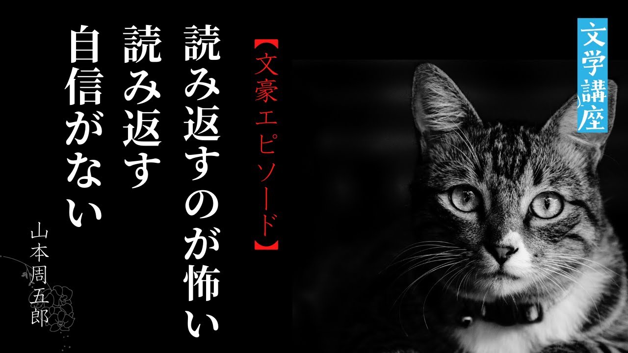 名言 常識とは 18歳までに身につけた偏見のコレクション アインシュタイン Youtube 名言 常識とは 18歳までに身につけた偏見のコレクション アインシュタイン Youtube