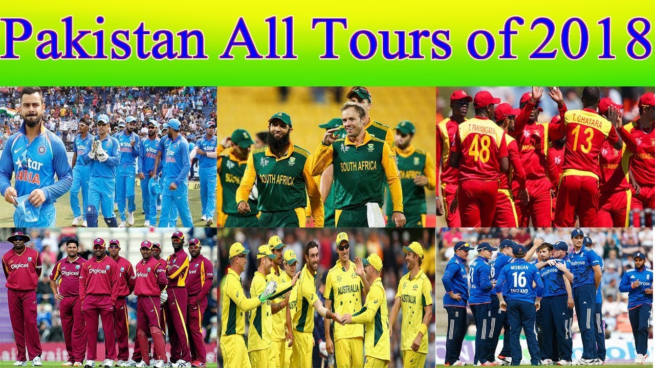 pakistan tour of india