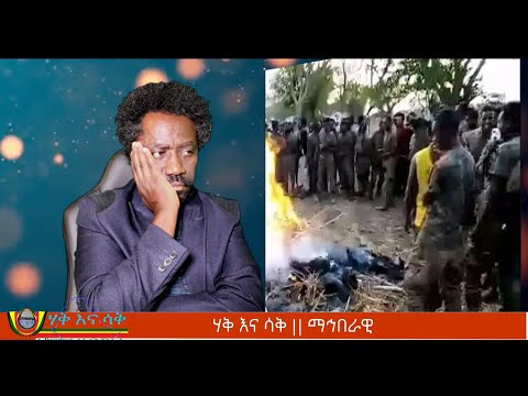 ቪዲዮ: የትኛው አካባቢ ብሬቺያ የማስገባት ዕድሉ ከፍተኛ ነው?