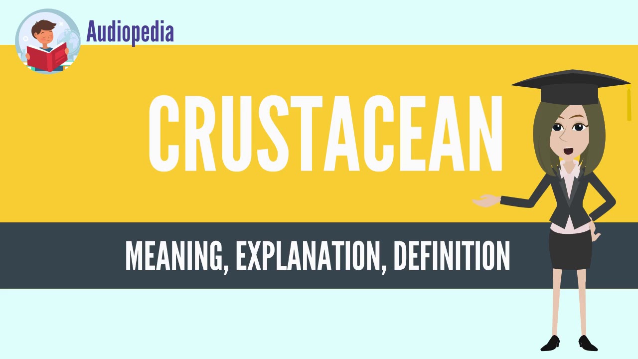 What Is CRUSTACEAN? CRUSTACEAN Definition & Meaning | เนื้อหาทั้งหมดเกี่ยวกับcrustacean คือล่าสุด