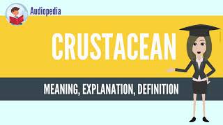 What Is CRUSTACEAN? CRUSTACEAN Definition & Meaning