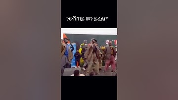 #shorts eritrean best dance  #eritreanguayla #eritrean #habesha #neweritrean #eritreanews #tigray