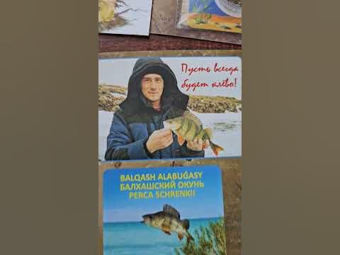 Лучший подарок для рыбака - эксклюзивный буклет от канала 7 TEŃGE с ...