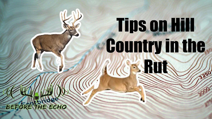 Tips for Hunting Deer in Hill Country during the Rut