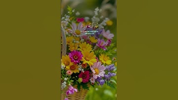 #Quran #islam #تلاوة_خاشعة #قرآن_كريم #اذكار   #دعاء #دعاء_الصباح #اذكار_الصباح