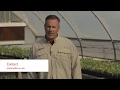 Keith starke nc state extension research associate for vegetable production and cultural management