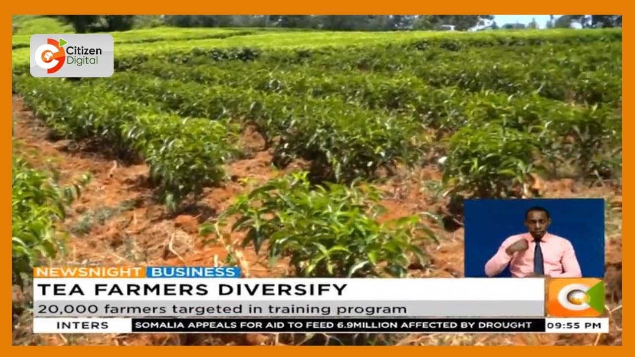 KTDA Foundation urges farmers not to rely solely on tea farming