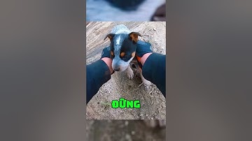 Khoảnh khắc khiến biker tan chảy hoàn toàn❤️