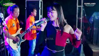THE VICH MUSIC - IKAN DALAM KOLAM VIRA VERONIKA - WEDDING DWISAPUTRA & NIKE LIVE BONDO PLAY PAELAN