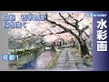 京都、哲学の道　桜を描く　水彩画　酒井芳元