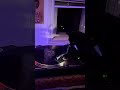 my DAPHNI album 'Butterfly' is out and Odo is giving the vinyl a scratch. (this is not AI)