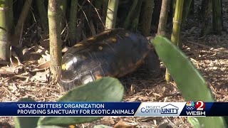 CommUNITY Champion: Central Florida nonprofit serves as sanctuary for more than 500 exotic pets