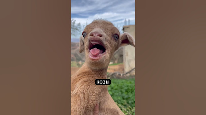 Почему козы прыгают в огонь! 🐐🔥🤯