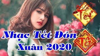 Nhạc Tết 2019 - Ngày Tết Quê Em & Mùa Xuân Đầu Tiên ► Liên Khúc Nhạc Xuân 2019 - Chào Xuân Kỷ Hợi