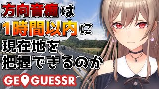 【Geo Guessr】道が私の言うことを聞いてくれない【にじさんじ】