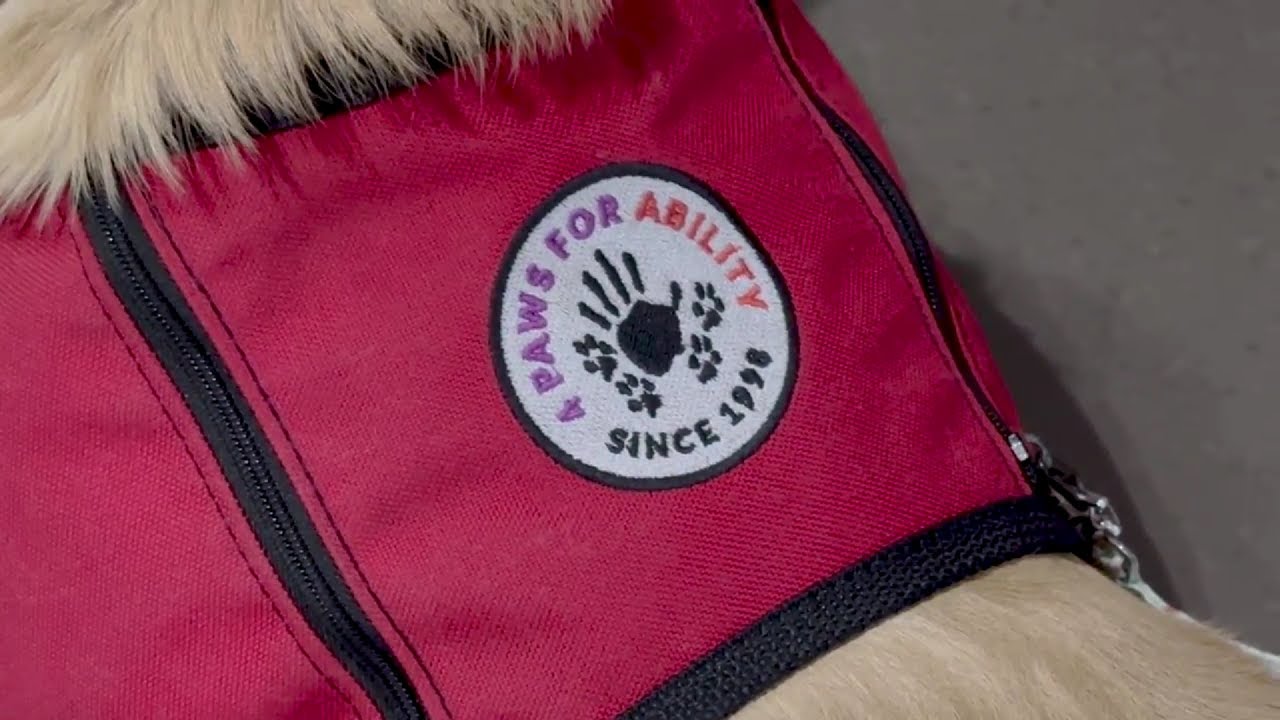 MSU 4-Paws PACKAGE (2-22-2024)