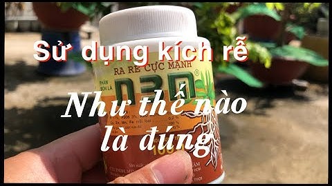 Sử dụng thuốc kích rễ như thế nào là đúng // hiệu quả , không gây hại