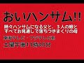 土ドラ『おいハンサム!!』第１話を観ました。